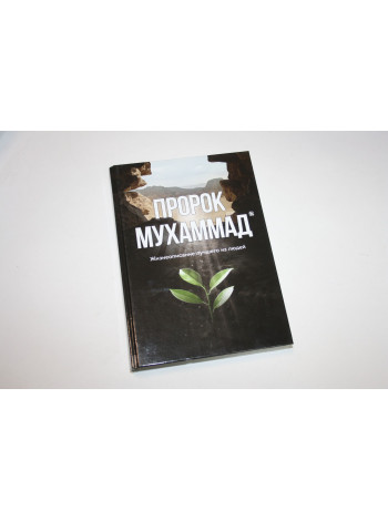 Пророк Мухаммад. Жизнеописание лучшего из людей. Аляутдинов И. 2021 г.